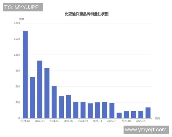 重庆极限运动队的转型之路与挑战分析探讨